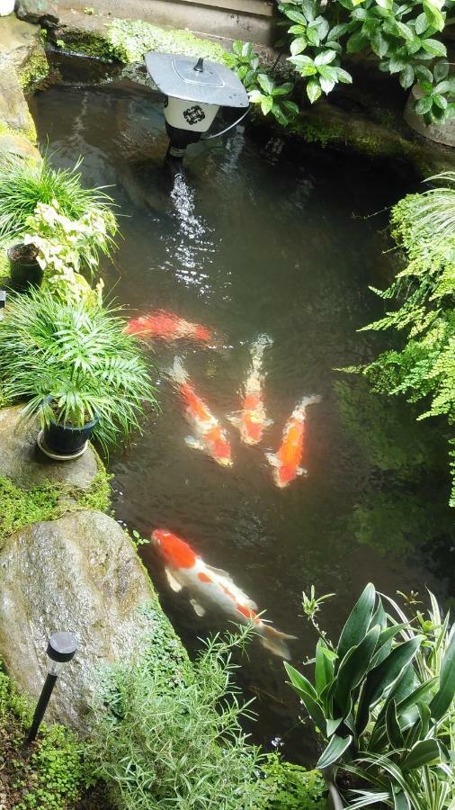 Ozu  Walking Pilgrimage Hotel Tokiwa Ryokan מראה חיצוני תמונה